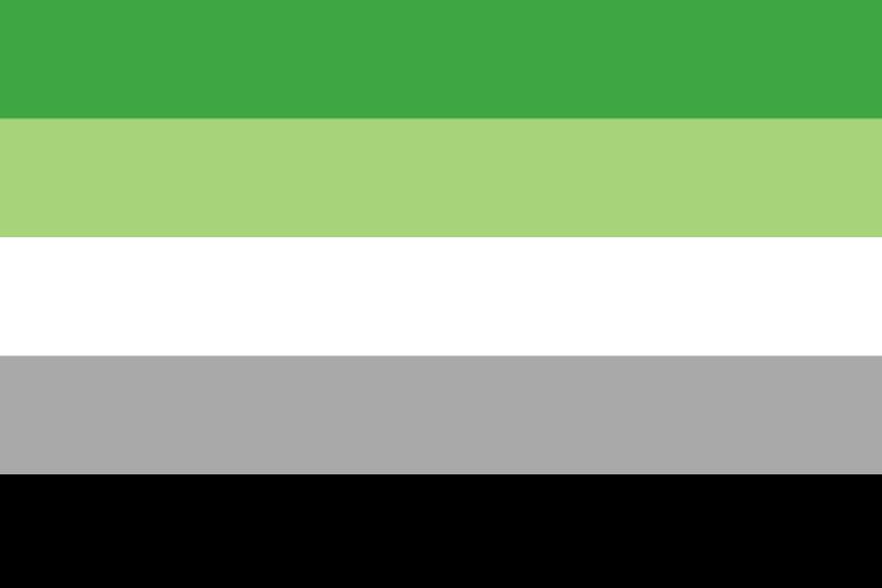 Aromantic flag (green, white, grey, black)