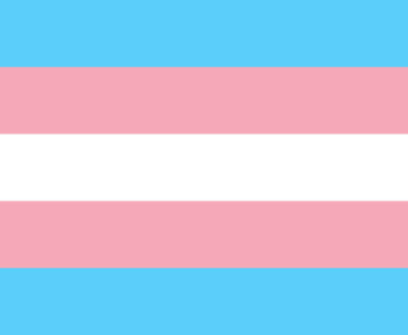 Trans pride flag (blue, pink, white)